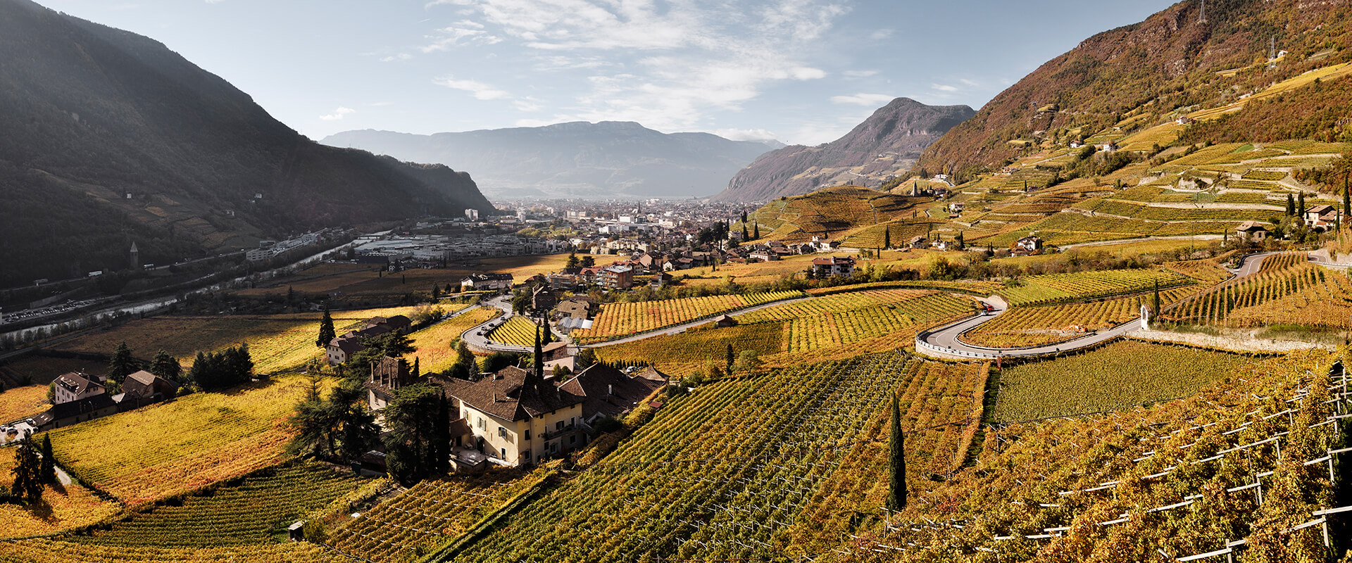 Weinberge oberhalb von Meran im Spätsommer