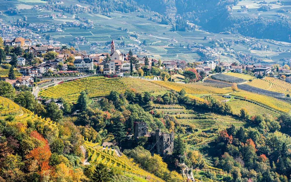 Weinberge rund um Dorf Tirol im Herbstlicht