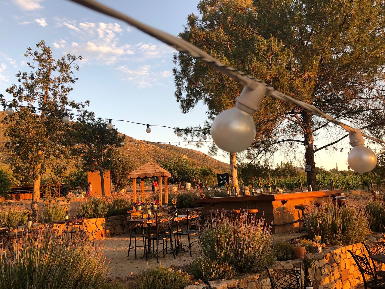 Weinverkostung im Valle de Guadalupe