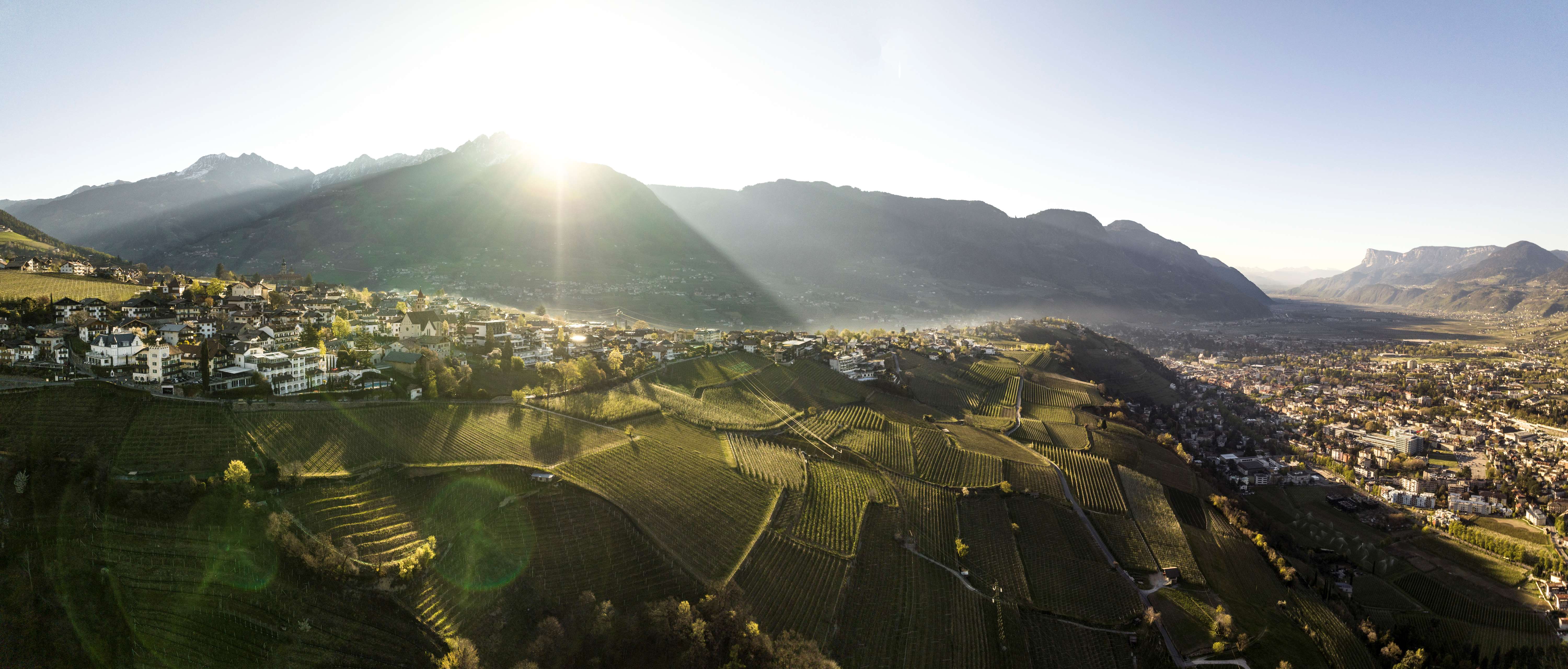 Abendstimmung über den Weinbergen Dorf Tirols im Sommer